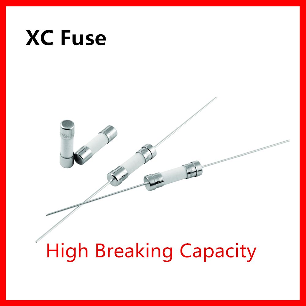 5*20 XC Fuse Ceramic Slow Blow Fuse with High Breaking Capacity UL VDE Certification
