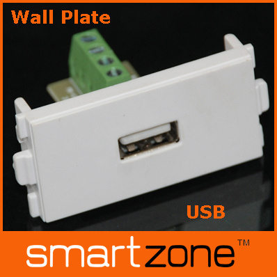 USB Wall Plate, AV Face Plate (9.1128)