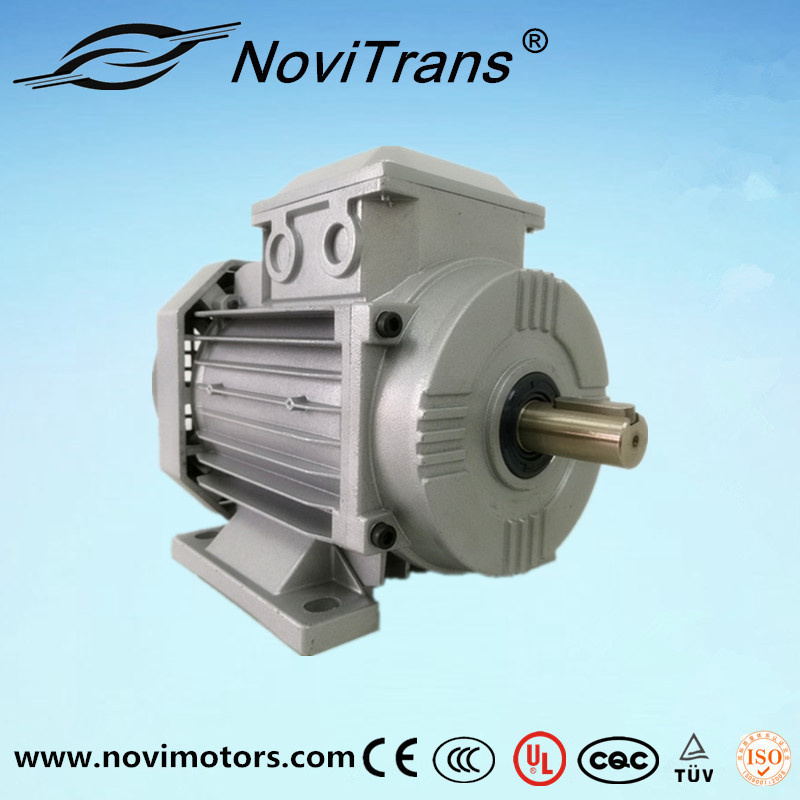 Langham Permanent-Magnet Sychronous Motor 550W