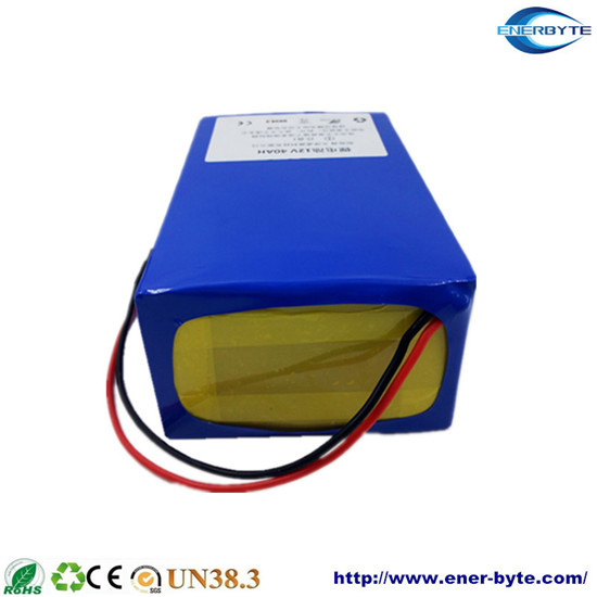 24 Volt Electric Scooter Lithium Battery