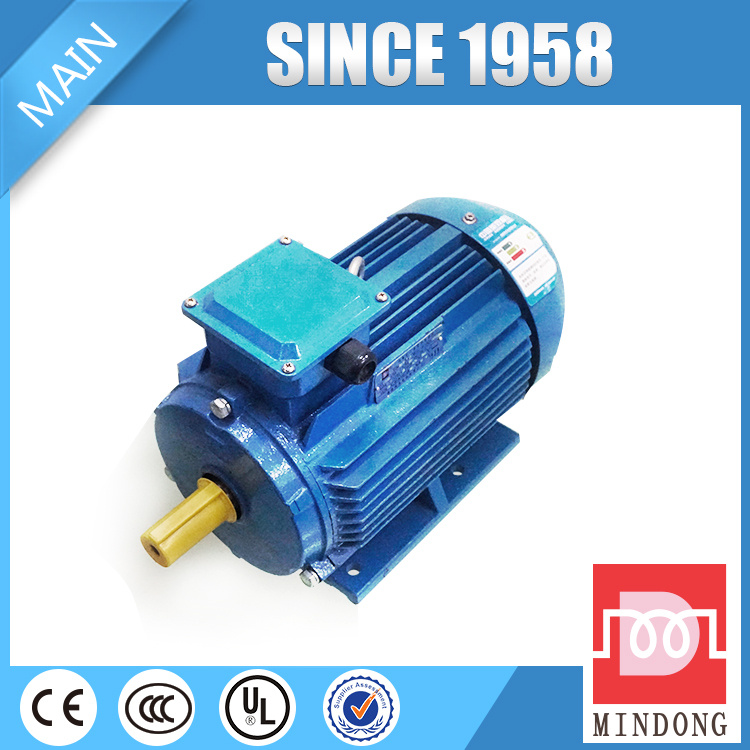 Y2 Series Cast Iron AC Motor