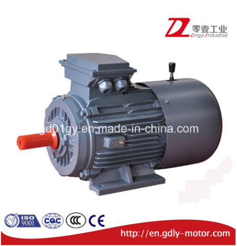 2 Poles Three Phase Electromagnetic Brake AC Induction Electric Motor