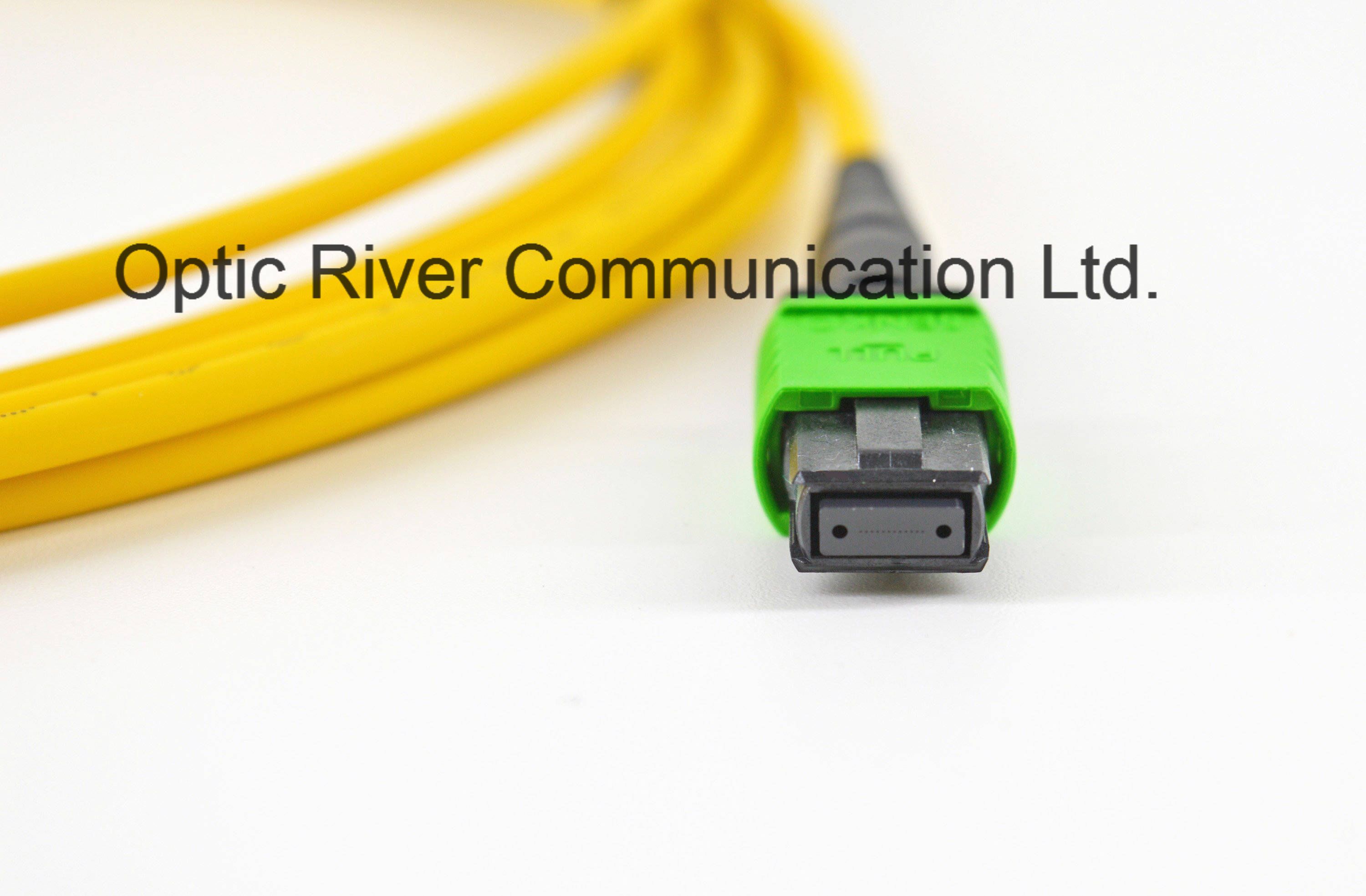 12f MPO-MPO Patchcord Sm