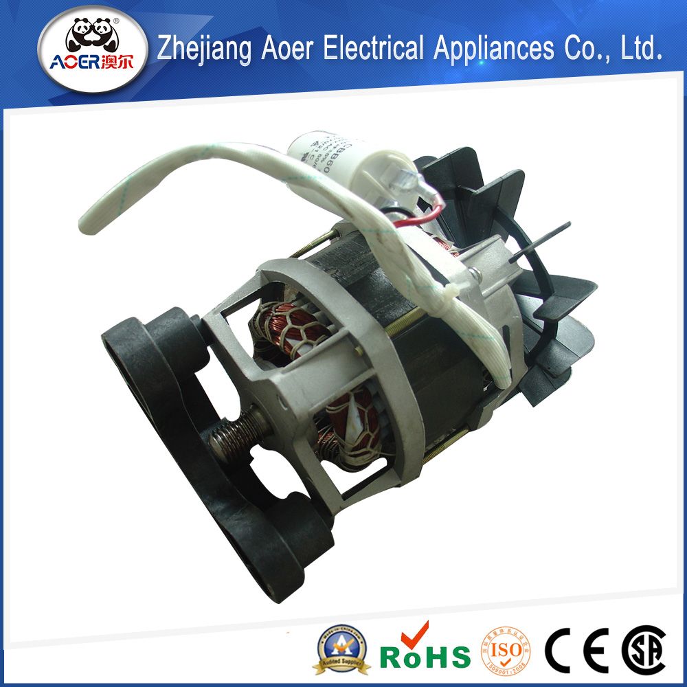 AC Single Phase Asynchronous Motor Electric 1000W 230V