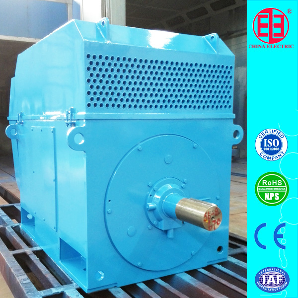 Ykk Series 800kw Big Size Squirrel Cage Induction Motor
