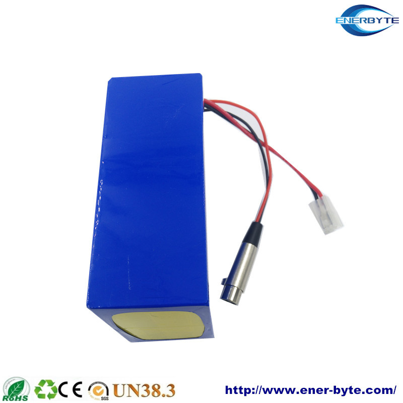 LiFePO4 Battery Pack 48V 50ah