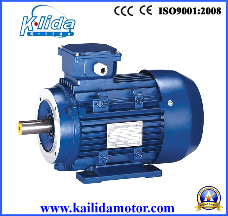 0.25 Kw Three Phase Induction Starter Electric Motor