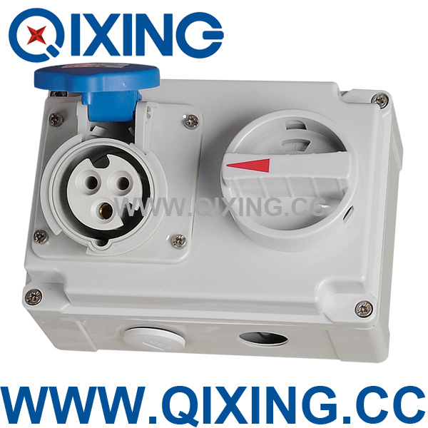 International Standard Socket with Switches and Mechanical Interlock (QX7274)