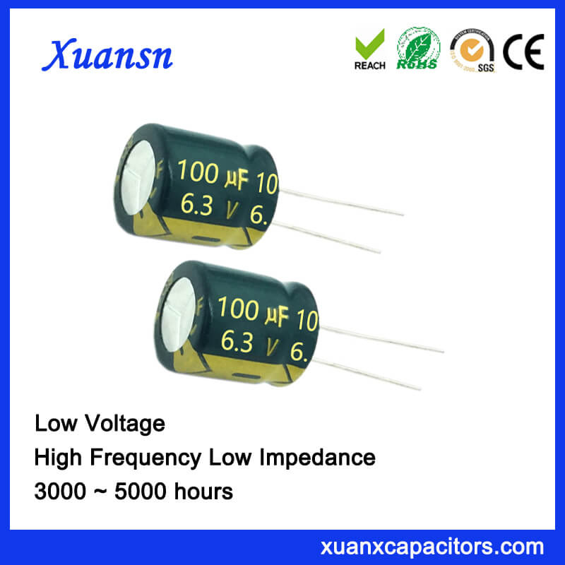 6...3V 100UF Capacitor Electrolytic 3000hours