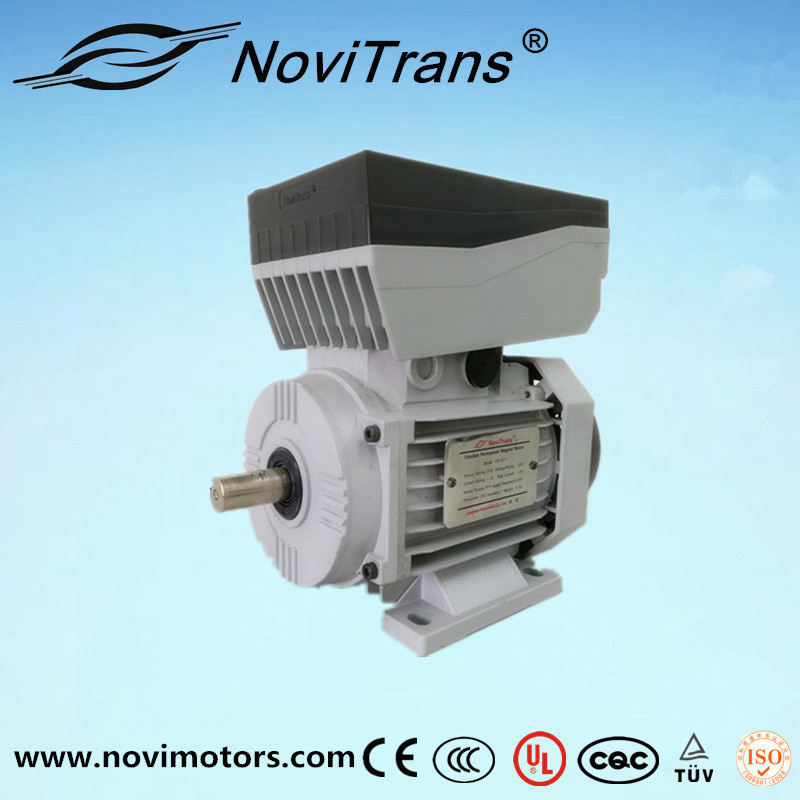 Electric Permanent-Magnet Servo Motor, Ie4