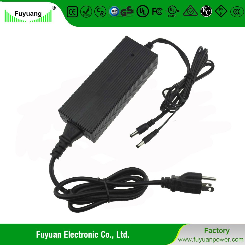 Level VI Dual Output 4 AMP 24 Volt AC DC LED Power Supply Fy2404000