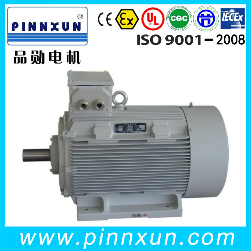 Three Phase AC Siemens Electric Motor 110kw