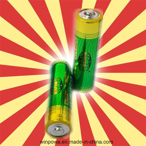 8 Years Shelftime 1.5V Alkaline Batteries AA Size