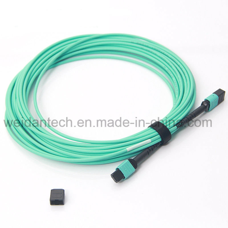 10m 40g Om3 Fiber MPO/MTP Patch Cord for Qsfp+