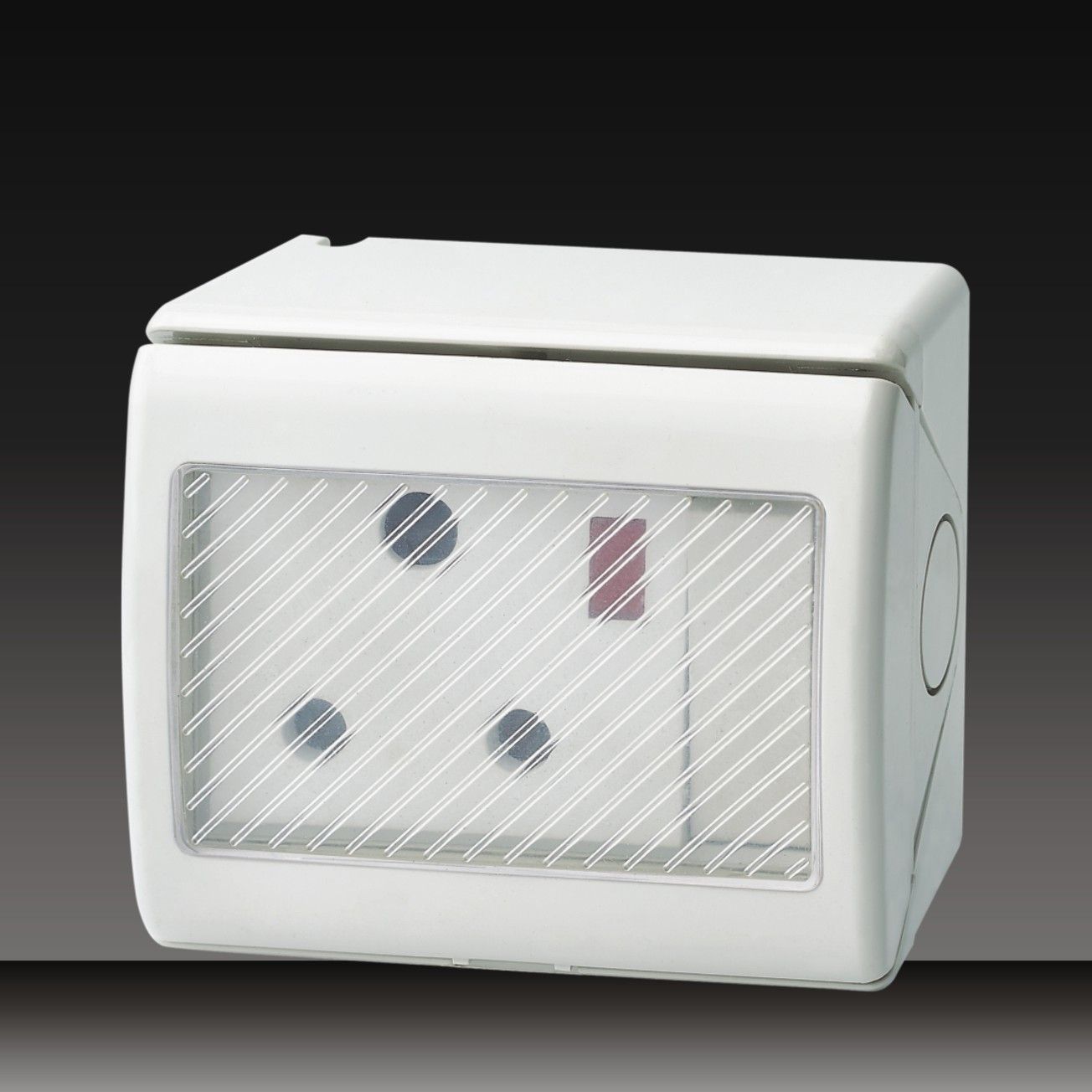 16A 250V Waterproof Switch Socket (LGL-SSR)
