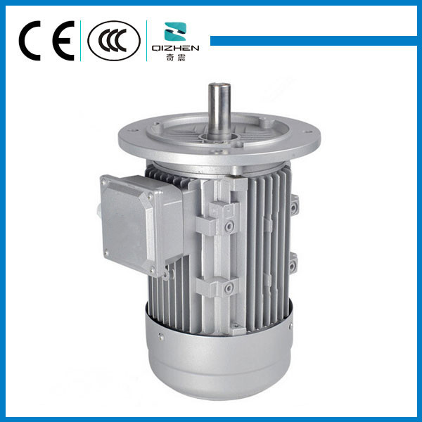 MS Series Three Phase Induction Motor with Aluminium Body