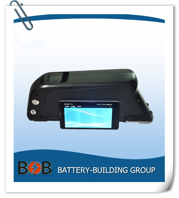 48V Electric Bike Lithium Battery with Bluetooth BMS, 5V USB Port
