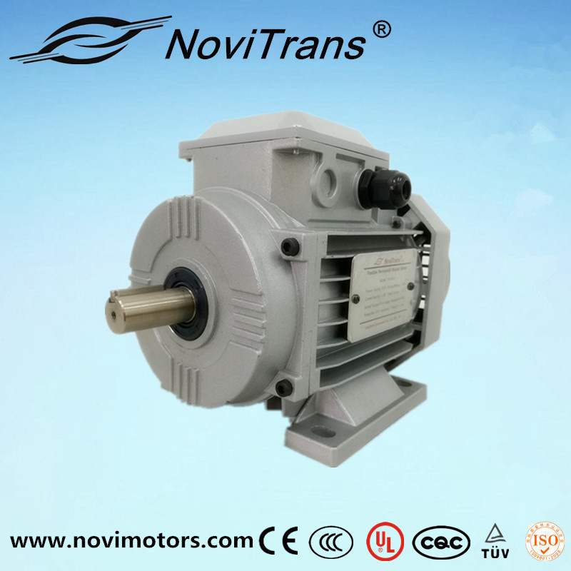 550W Synchronous Motor for Machine Tools with Additional Protection (YFM-80)
