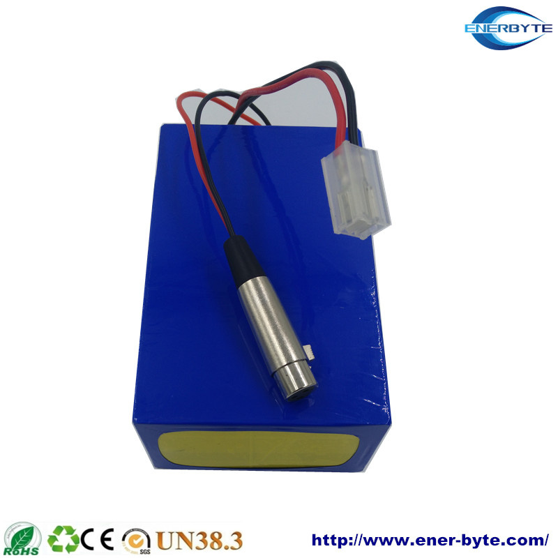 LiFePO4 Battery Pack 24V 20ah