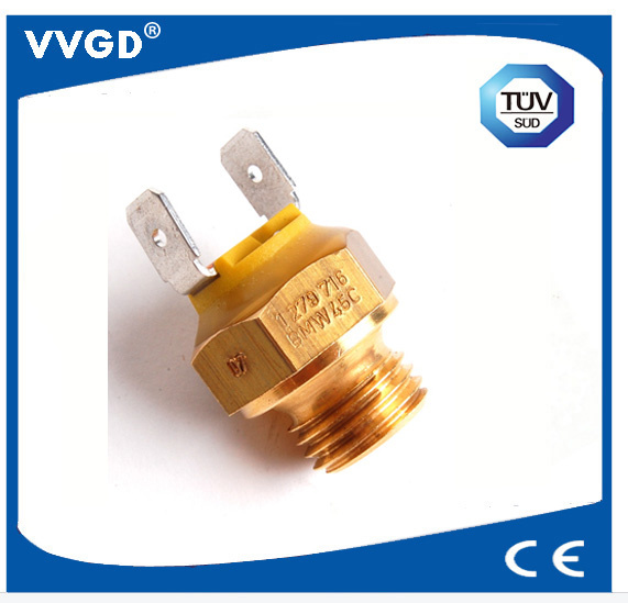 Auto Coolant Temperature Switch 12631279722 for BMW Series 5 (E12) Series 6 (E24) Series 7 (E23)