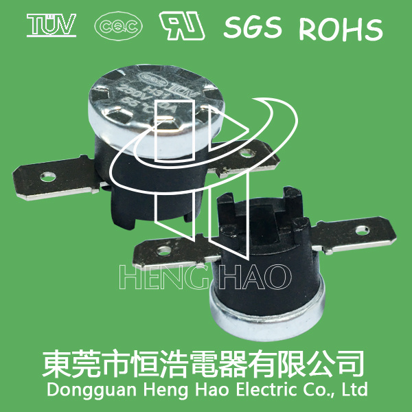 Heating Thermostat for Electric Caldron