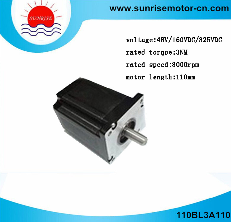 110bl3a110 BLDC Motor/Electric Motor/DC Motor/Brushless DC Motor BLDC Motor