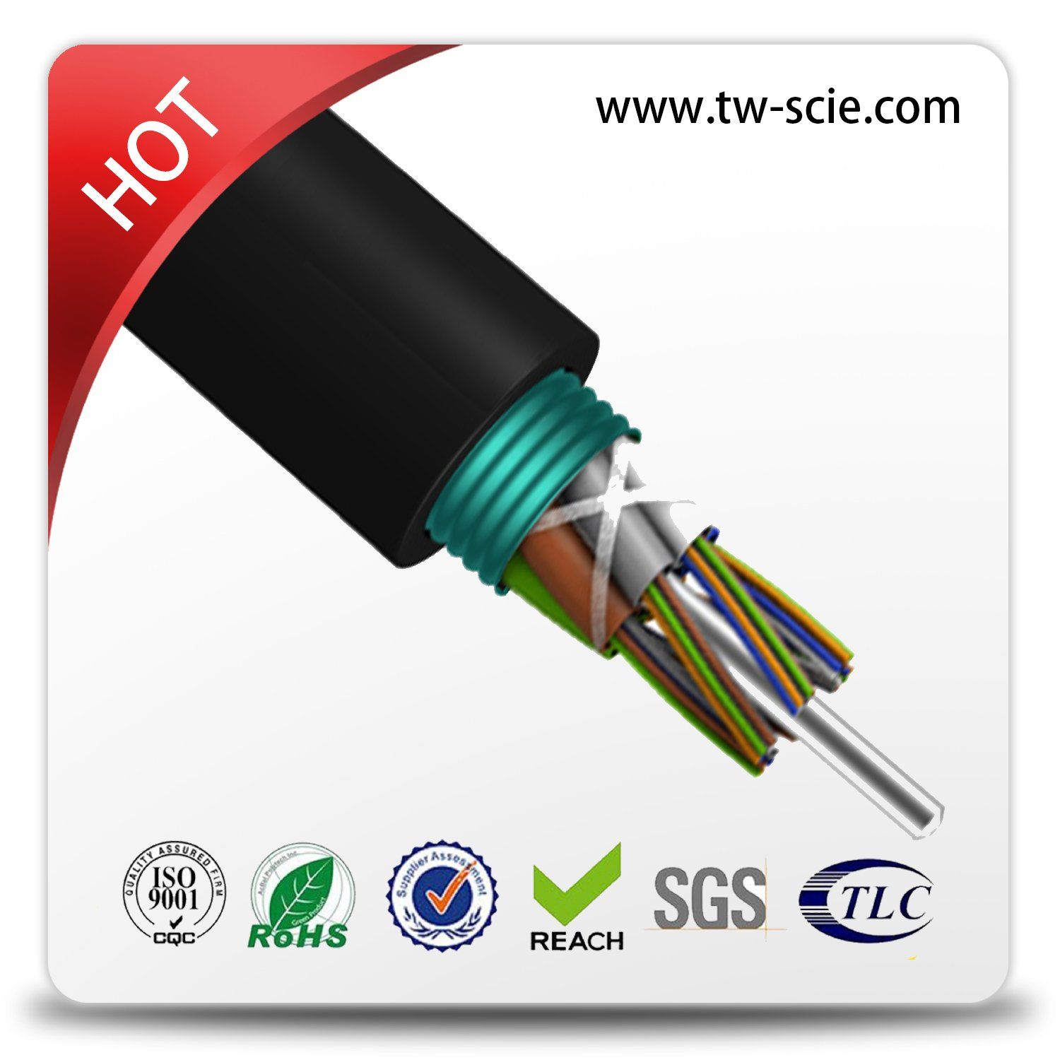 Single Mode Fiber Optic Cable for Telecommunication Use GYTS
