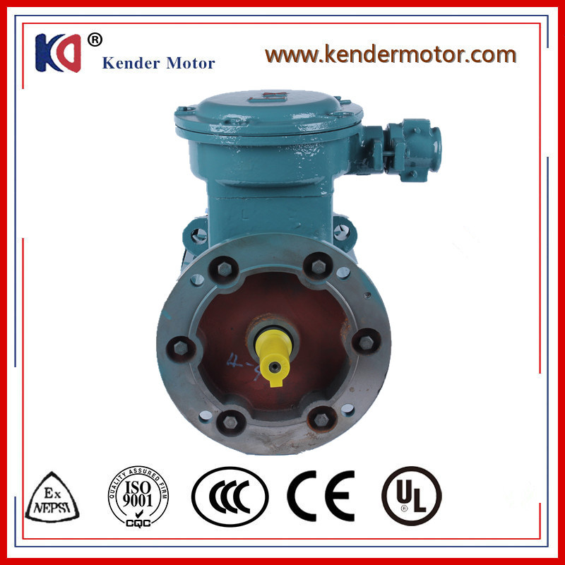 Three Phase Electric E-Proof Induction Motor Wth Customized Frequency
