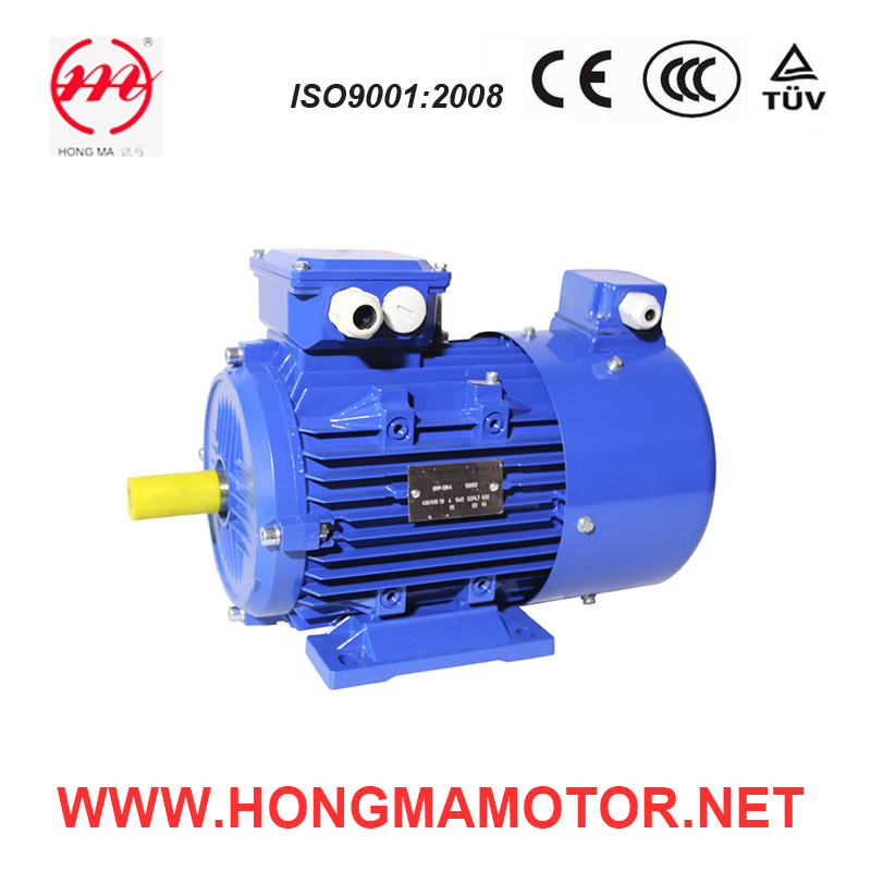 Fan Cooled Asynchronous Adjust-Speed Motor (355L2-8-200KW)