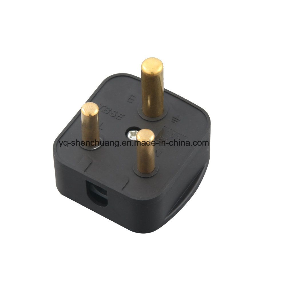 South African Plug 100301
