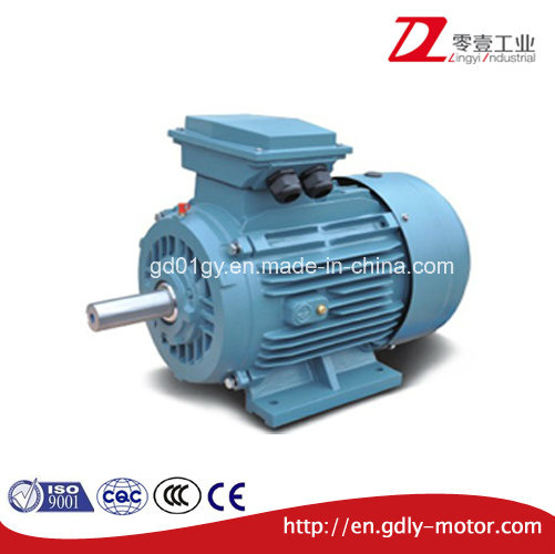 2 Poles Three Phase IEC Standard Iron Cast AC Induction Electric Motor
