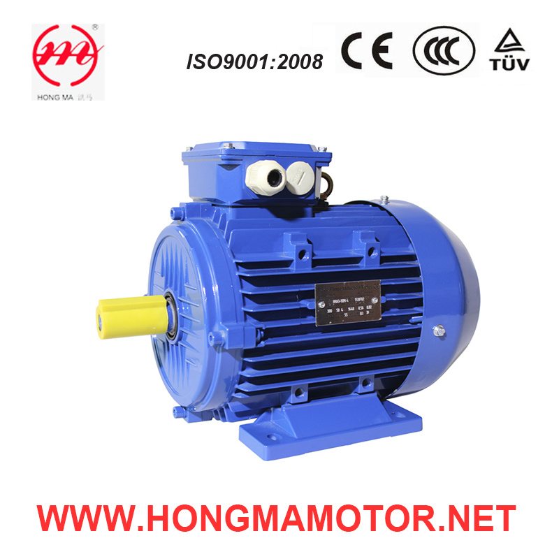 Closed Type Asynchronous Induction NEMA Motor (256T-4-20HP)