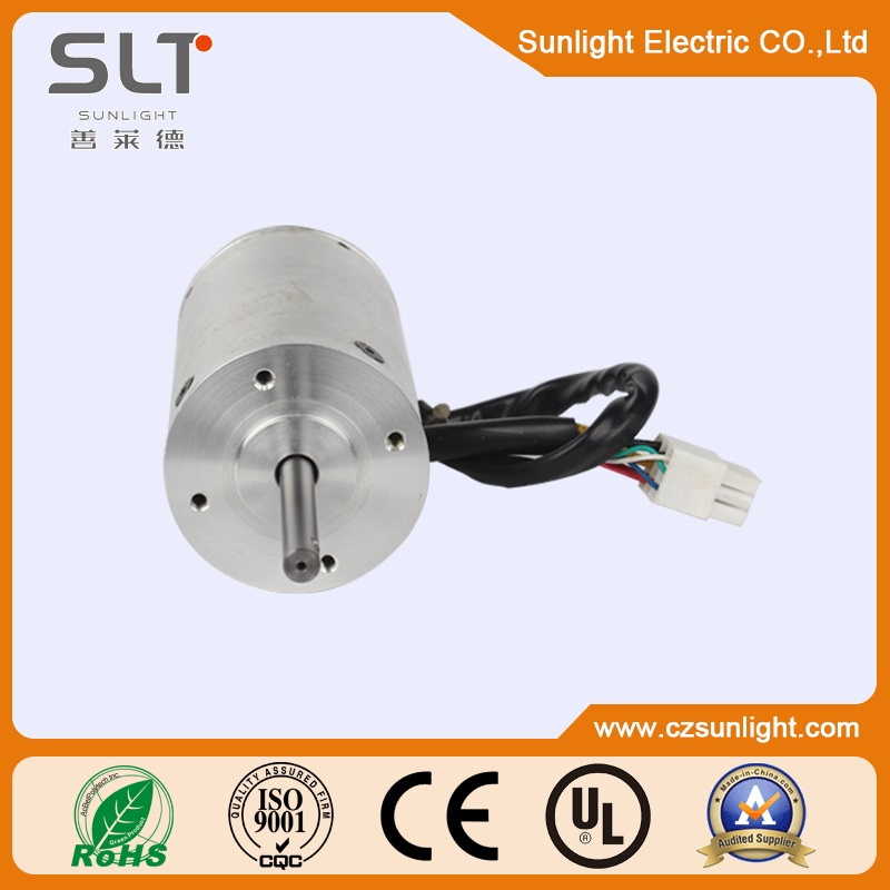 Very Light Micro DC Brushless Motor 96mm