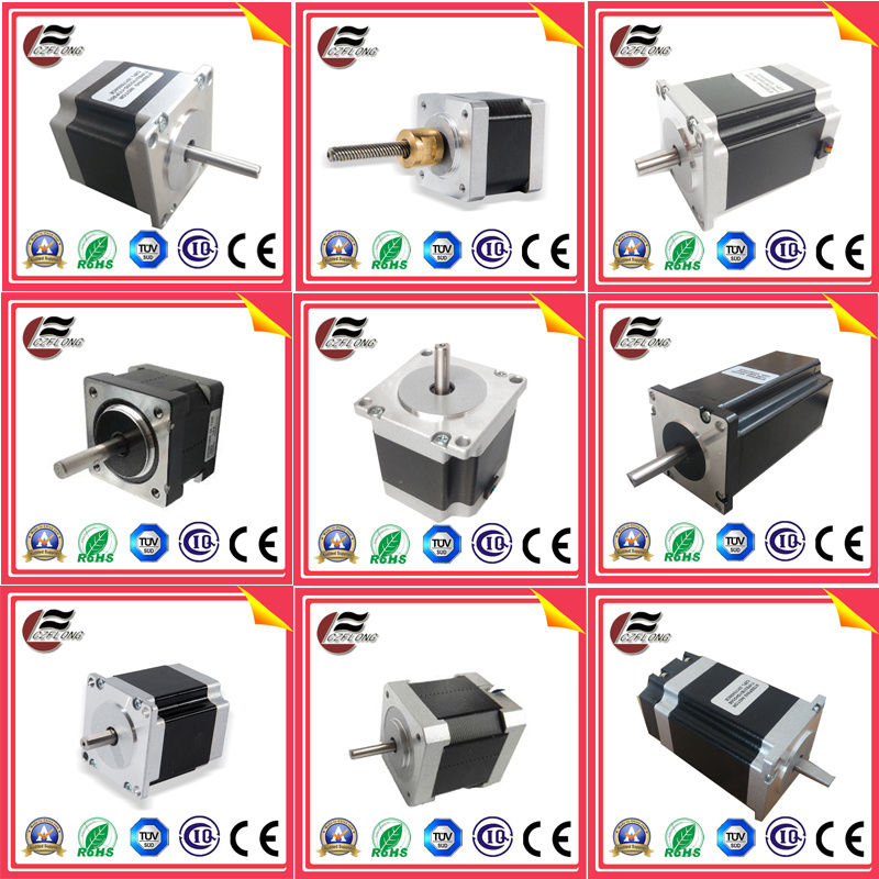 Servo DC Brushless Motor Stepper /Stepping/Step Motor with Driver