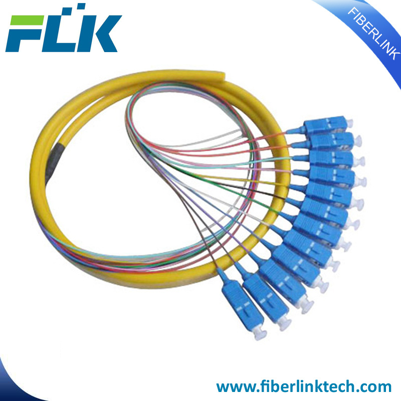 Sc LC FC St Connector 12 Core Fan-out Bundle Fiber Optic Pigtail