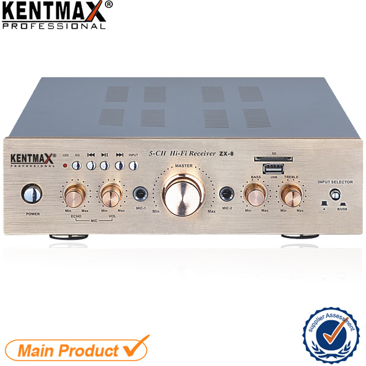 10W Professional Power Digital Karaoke Amplifier