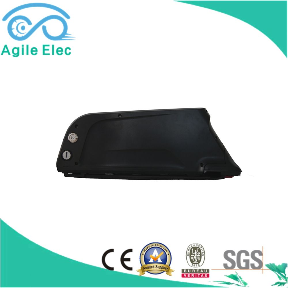 36V 10.4ah Down Tube Type Lithium Battery with Charger
