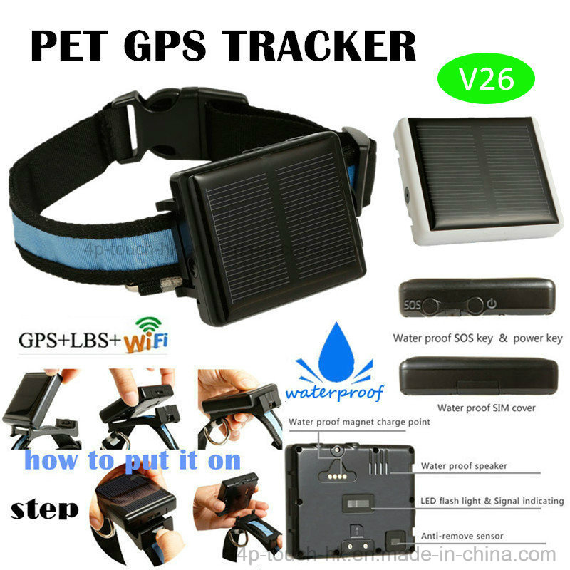 Solar Charging GPS Tracker Device for Pets (V26)