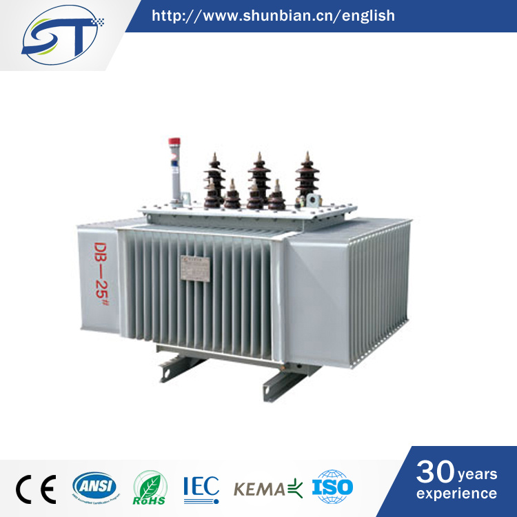 Three-Phase Oil-Immersed Amorphous Alloy Power Distribution Transformer
