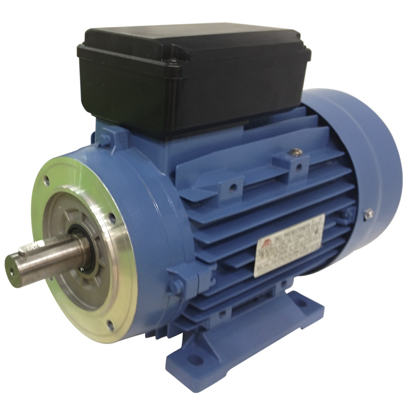 (IE2) Series Three-Phase Asynchronous Electric Motor (Ms5612-90W-B3)
