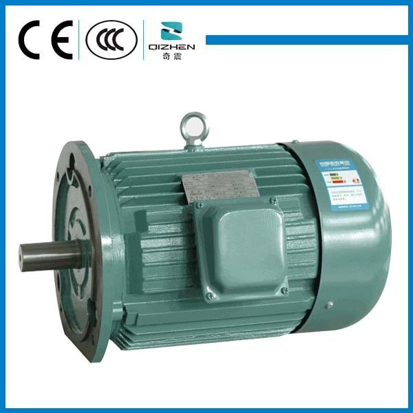 Factory direct sell high voltage three-phase squirrel cage induction motor