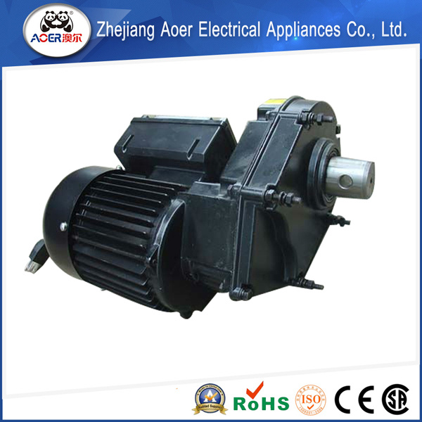 375W Induction Single Phase Asynchronous Motor for AC Geared Electric Motor From Mini Blender Machine