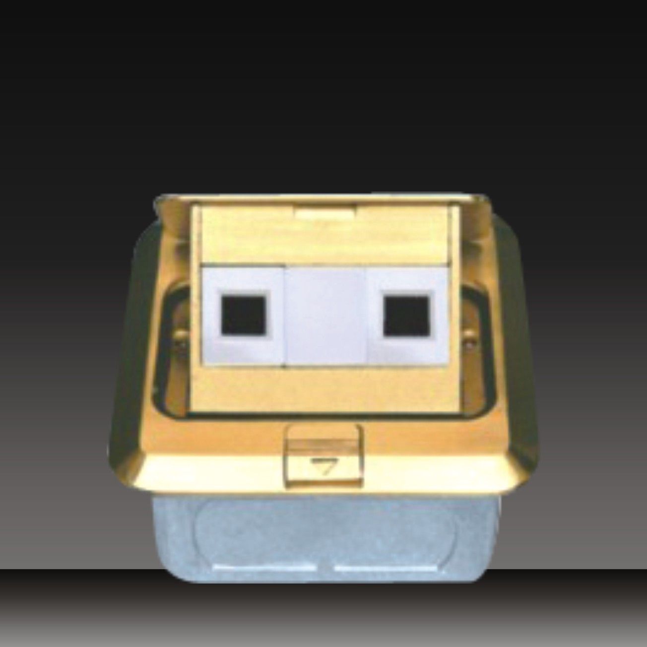 2 Gang Computer Socket (HDC-4-1)