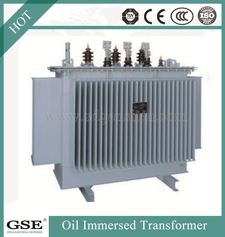 33kv, 1000kVA, 3phase Oil Immersed Power Transformer