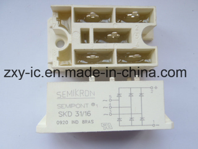 SKD31/16 SKD31-16 SKD 31/16 Bridge Rectifier 3pH Module