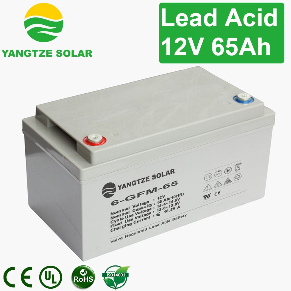 Free Shipping Yuasa 12V 65ah Battery