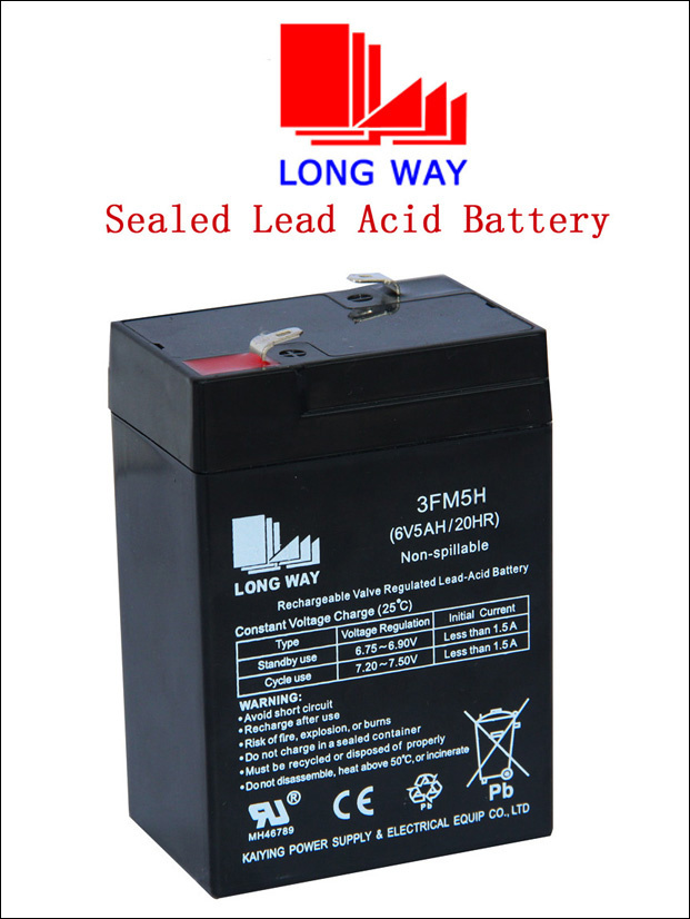 Power Rechargeable Friendly Lead Acid Battery
