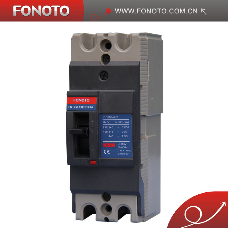 100A 2p Ezc Type MCCB with CE