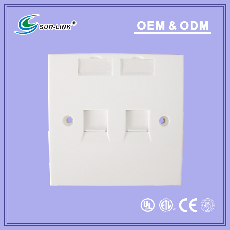 86 Type 2 Port Faceplate