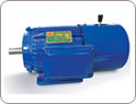 YEJ Three Phase Brake Induction Motors